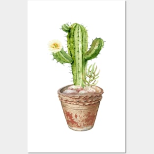 Hand painted Watercolor Cactus in Terracotta pot Posters and Art